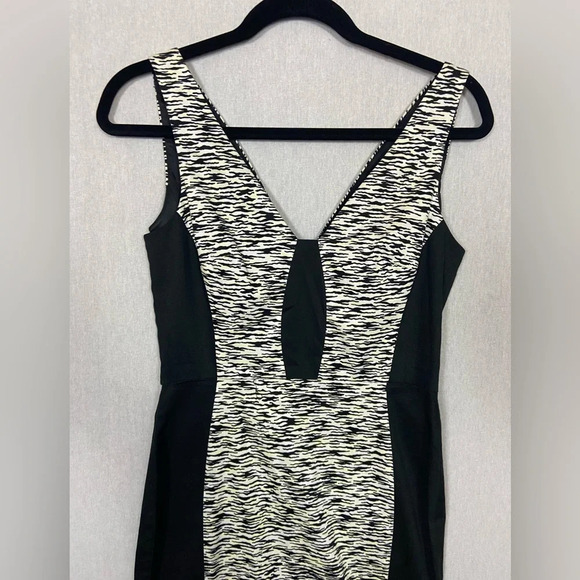 FRENCH CONNECTION  SAHARA WAVE ZEBRA DRESS SZ 6 - Picture 8 of 14